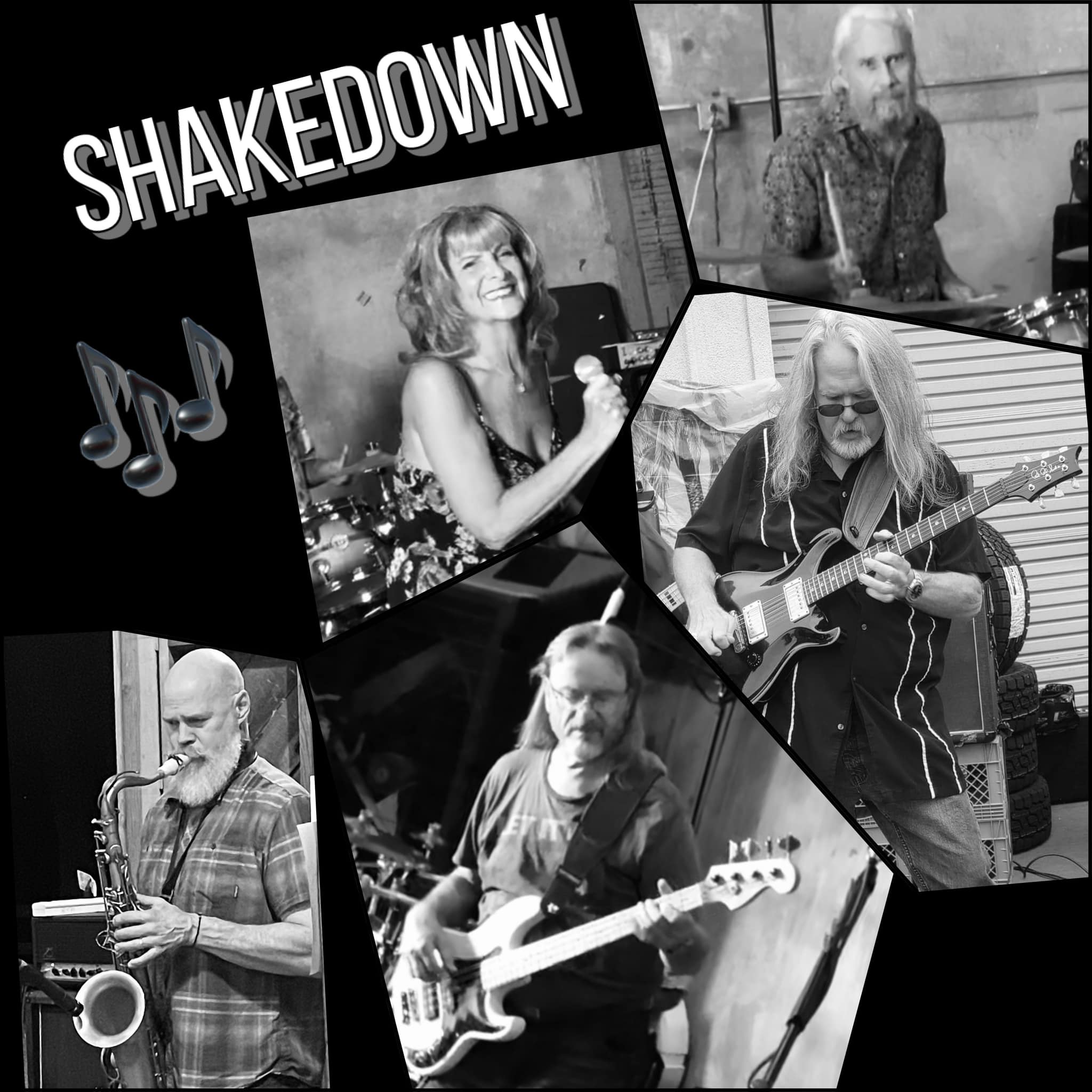 Live Music by Shake Down (formerly Magic Bus Band)